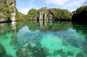 Palawan: Corals in quiet and clear waters of a Big Lagoon
