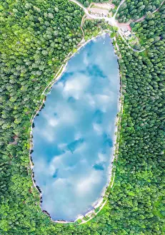 Lorraine: Corbeaux Lake in summer, Vosges, France