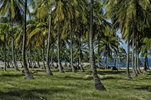 Winds: Corbens Bay with view to Atlantic Ocean