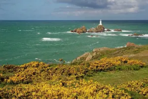 Gorse: Corbiere Lighthouse with Gorse in foreground