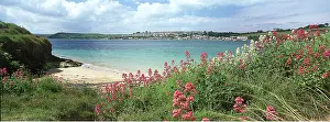 Villages: CORNWALL - North coastal path at Padstow Bay. Red