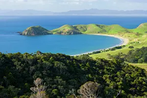 Patches: Coromandel Coastline - bay of Port Jackson surrounded