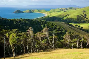 Patches: Coromandel Coastline - bay of Port Jackson surrounded