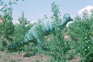Calgary: Corythosaurus