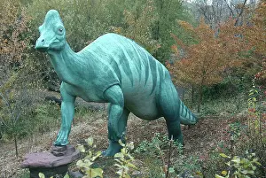 Calgary: Corythosaurus