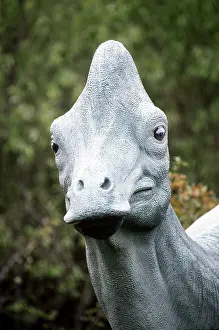 Models: Corythosaurus