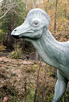 Models: Corythosaurus