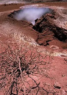 Fumarole: Coso Geothermal Mudpot
