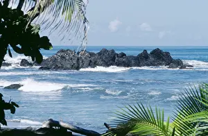 Dawn Starin: COSTA RICA - PACIFIC COAST