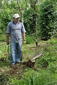 Rican: Costa Rican farmer