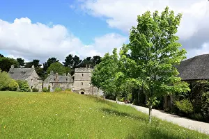 Tudor: Cotehele Tudor House