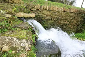 Compton: Cotswold Spring (in the shape of a crocodile's head)