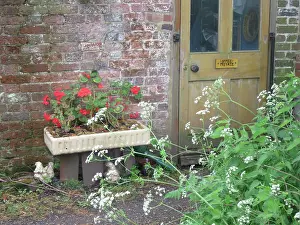 Geraniums: Cottage back door with geraniums and cow parsley