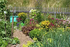Beds: Cottage garden, Mahlacker, Baden-Warttemberg, Germany