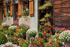 Arrangements: Cottage garden in front of a Valais Renaissance