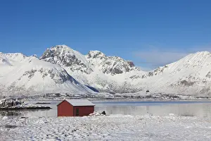 Desolation: Cottage in snowy landscape - Lofoten - Norway