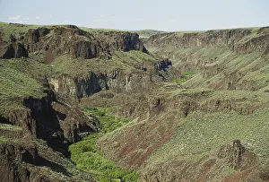 Study: Cottonwood Creek, Idaho