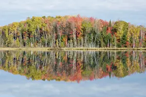 Council: Council Lake with Autumn Colours of Maples Reflected