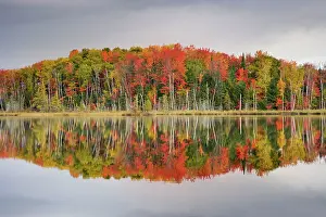 Peninsular: Council Lake - trees in autumn colours refelected