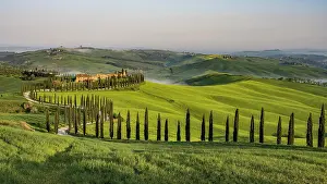 Manor: Country estate Agriturismo Baccoleno with cypres