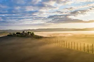 Manor: Country estate Poggio Covili with cypress avenue