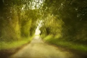 Lanes: Country Lane - Textured Image - Norfolk UK