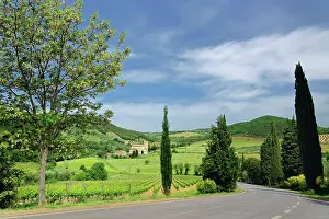 Sant: Country road curving between cypress trees