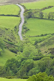 Pastural: Country Road near Lynmouth