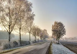 Lane: Country road in a winter landscape with frosted trees (Bavar