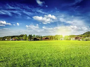 Densely: Countryside meadow field with sun and blue sky