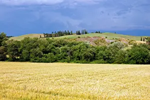 D Orcia: Countryside near San Quirico d'Orcia, Siena