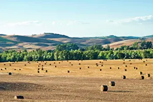 D Orcia: Countryside near San Qurico d'Orcia, Siena