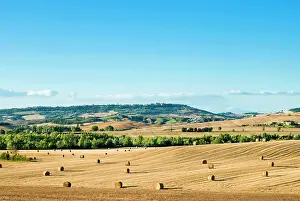 D Orcia: Countryside near San Qurico d'Orcia, Siena