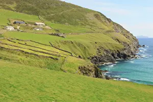 Eire: County Kerry. Dingle Bay. Ireland. Typical