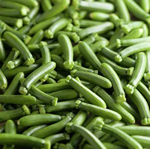 Pepo: Courgette, Cucurbita pepo, A mass of baby courgettes