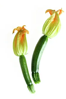 Courgette: Courgette - with flowers
