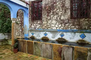 Courtyard: Courtyard of the Hacienda Minerva