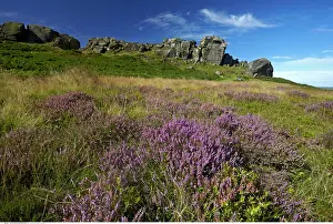 200617: The Cow and Calf Rocks, Ilkley Moor, West Yorkshire