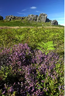 200617: The Cow and Calf Rocks, Ilkley moor, West Yorkshire