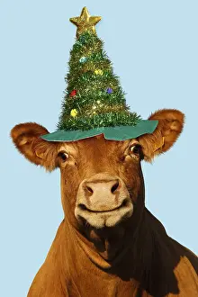 Tinsel: Cow, smiling wearing Christmas Tree hat