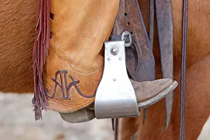 Boot: Cowboy - boot in Horse stirrup