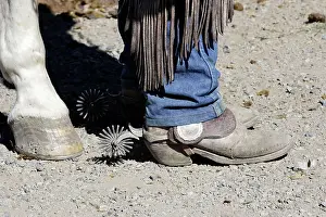Cattleman: Cowboy - close-up of boot and spur