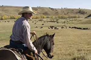 Ceremonies: Cowboy Josh Shoemaker at Bison Roundup Custer State Park