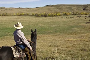 Styles: Cowboy Josh Shoemaker at Bison Roundup Custer State Park