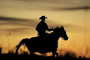 Riding: Cowboy riding over the prairie, silhouette at su
