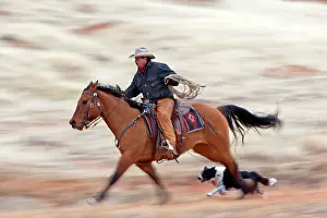 Alongside: Cowboy - riding on Quarter Horse with Border Collie