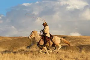 Lasso: Cowboy - riding on Quarter Horse with lasso