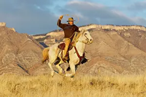 Lasso: Cowboy - riding on Quarter Horse with lasso