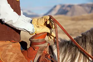 Gloves: Cowboy - riding on Quarter Horse wearing gloves