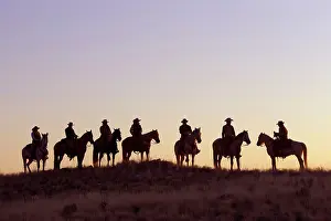 Cowboys: Cowboys - silhouettes of cowboys riding Quarter